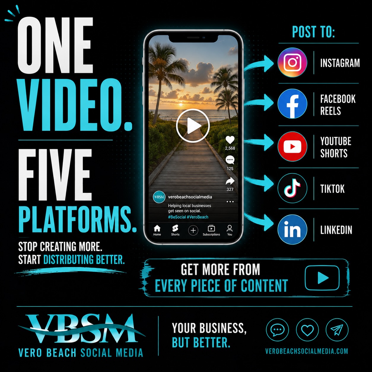 VBSM Instagram post: One video, five platforms